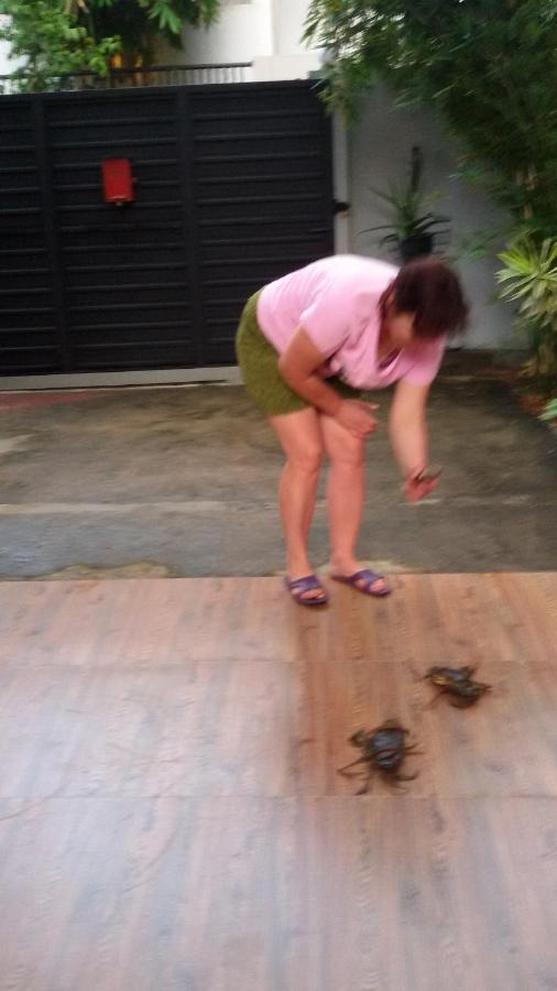 Vero Homestay Galle- Your Home Away From Home! 외부 사진